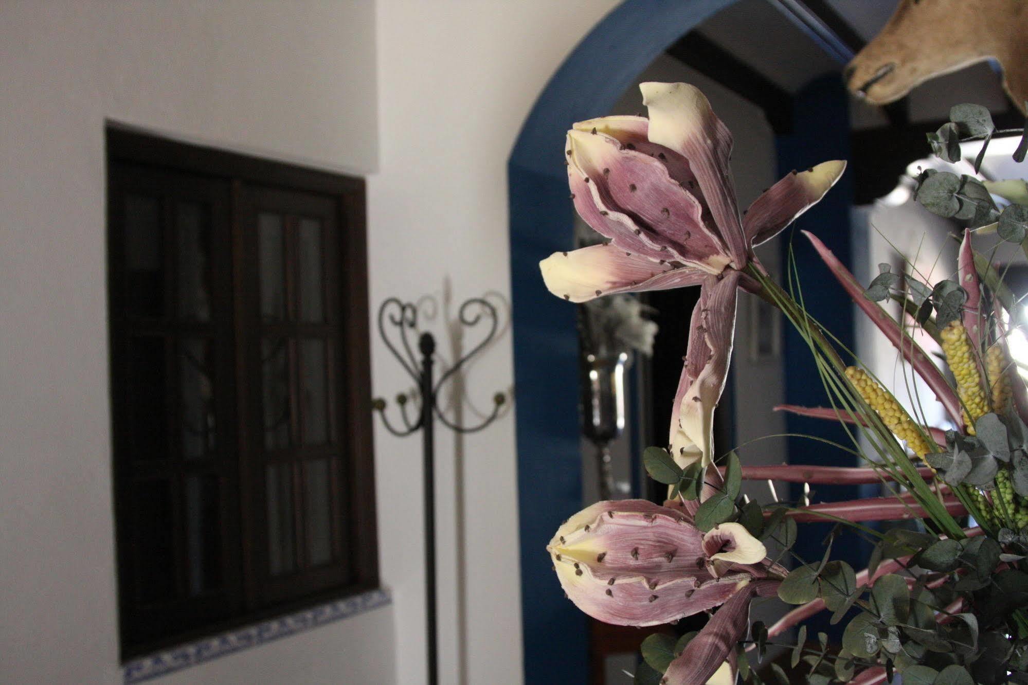 Casa Rural El Sombrero เอลโรซิโอ ภายนอก รูปภาพ